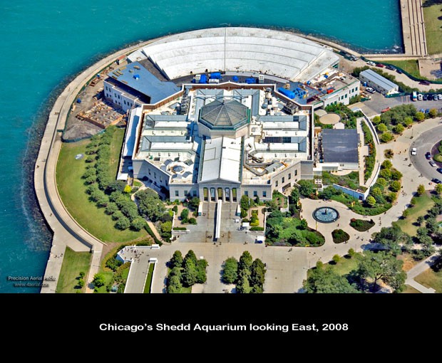 30-Shedd_080820-159