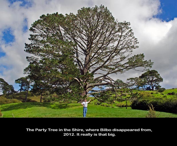 NZ012-Hobbiton_NZ-0246